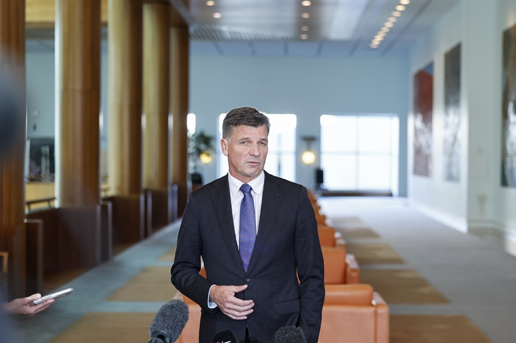 Is One Nation more Liberal than the Liberals?