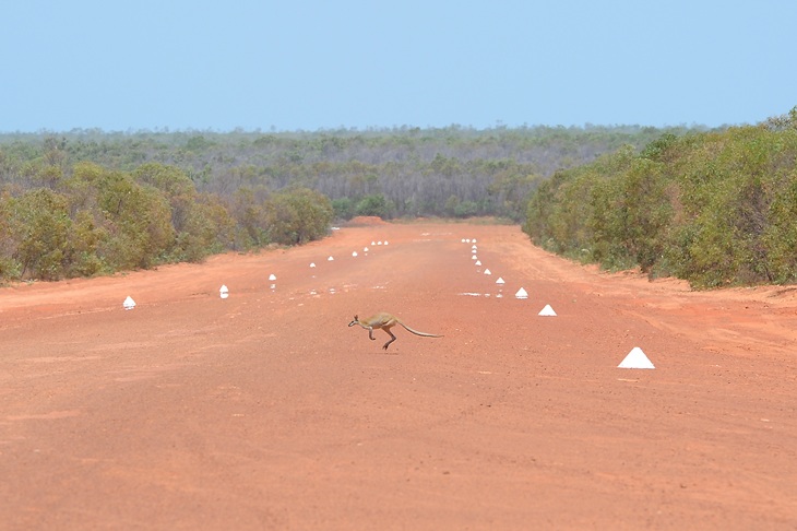 A continent-sized nation, living in a corner of itself