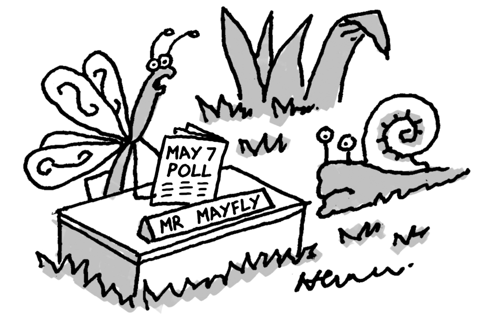 ‘A lot of Labour councillors won’t survive the day.’