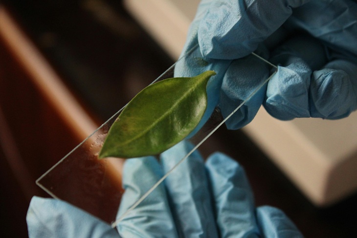 Strike out academic nonsense