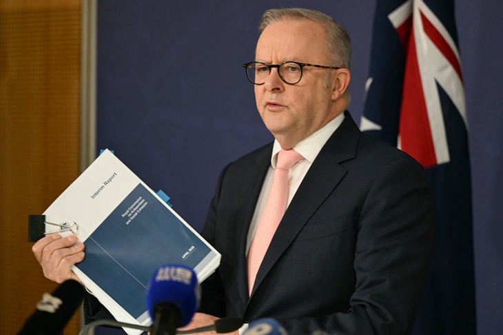 An interim assessment of an interim report