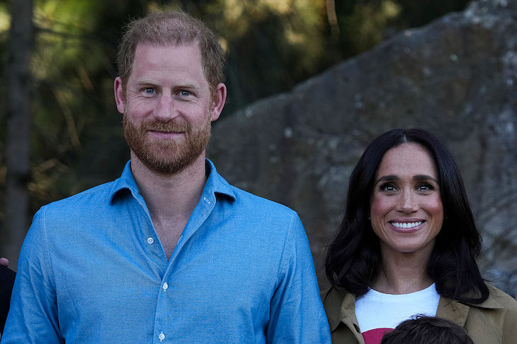Prince Harry’s fears for our ‘divided country’ are hard to swallow