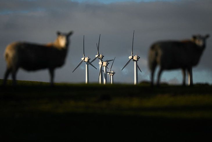 Britain will never be the ‘Saudi Arabia of wind’