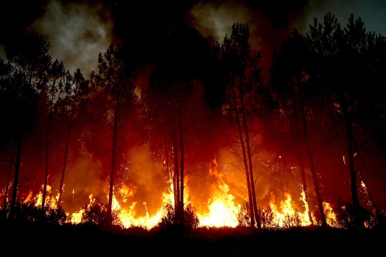 Macron could’ve done more to stop the Bordeaux fires