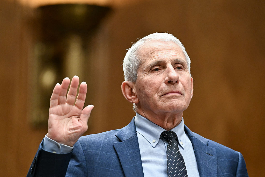 Why did Anthony Fauci take the Fifth?