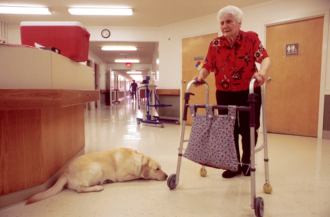 Why a ‘social care levy' is a bad idea