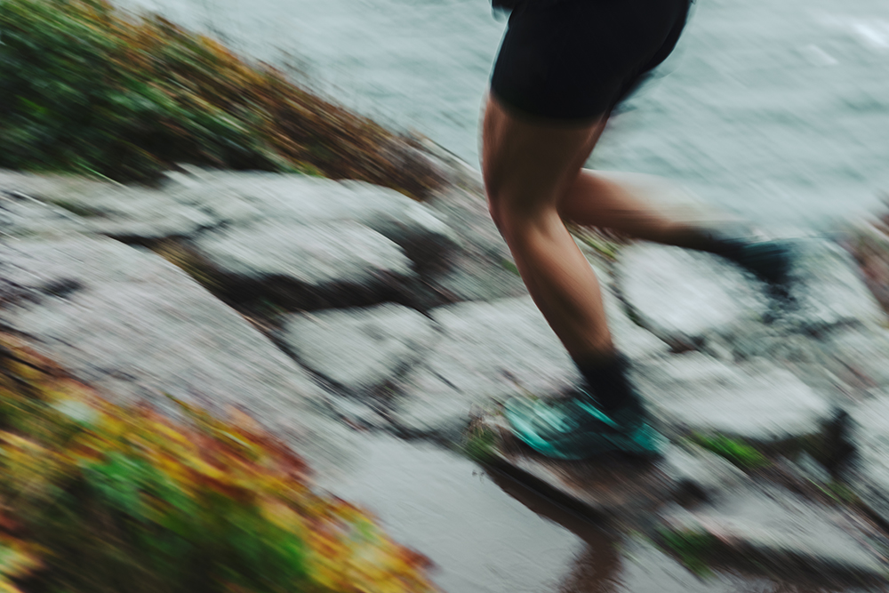 An exhilarating chase: The Runner, by Scarlett Thomas, reviewed