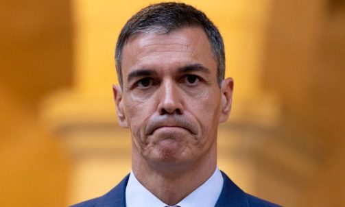 pedro sánchez