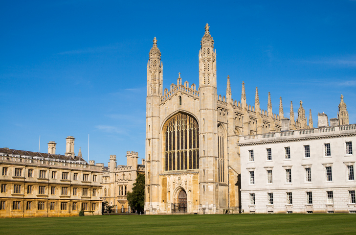 Britain's universities are feeding their own destruction