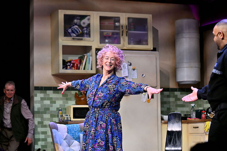 The war on Maureen Lipman