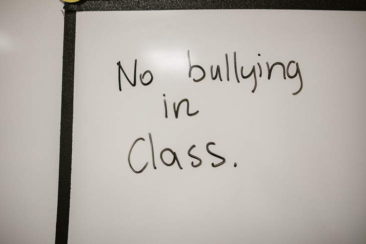 Education departments have a plan for the bully. What about the victim?