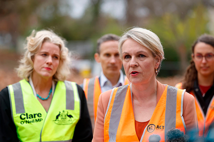 The Plibersek paradox